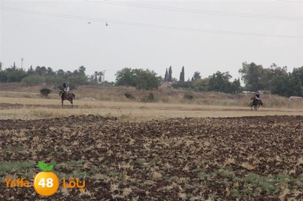 khoyoul lud 0610 (31).JPG